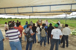 FOTOS-DA-VISITA-DO-DIA-DE-CAMPO-NA-EMBRAPA-COM-O-SECRETARIO-DO-INDIO-FOTO-NETO-FIGUEREDO-4