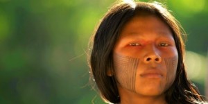 15161_AmazonIndigenous_1_460x230