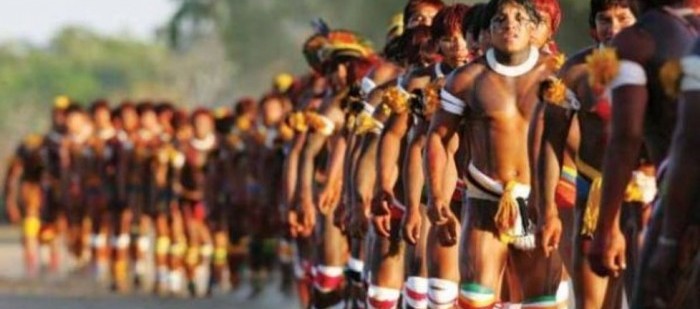 41201-imagem-ilustrativa