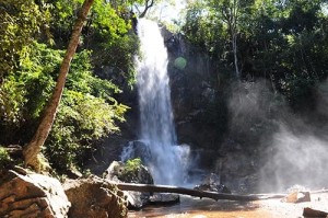 Parque Tororo