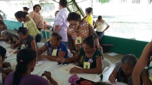 Dep. Janete Capiberibe_Parteiras