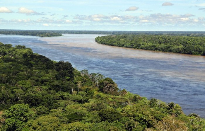 importantes-zonas-de-biodiversidade-permanecem-desprotegidas-no-mundo