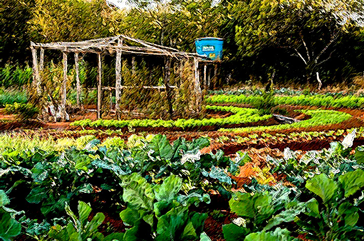 agricultura-familiar