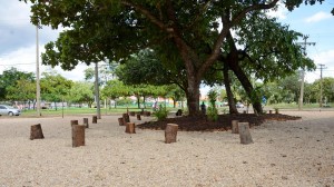 Corredor Verde promete dar mais sustentabilidade ao ecossistema de Palmas