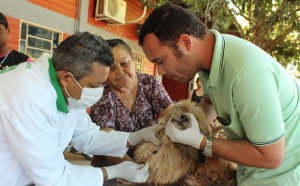 CCZ de Gurupi faz Dia D de Coleta de Sangue para teste do calazar em animais
