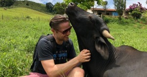 Ficou comovido com os bois do Porto de Santos? Veja aqui 10 dicas de como se tornar vegano