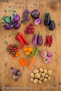 Seasonal and Regional Vegetables Saisonales und regionals Gemuese