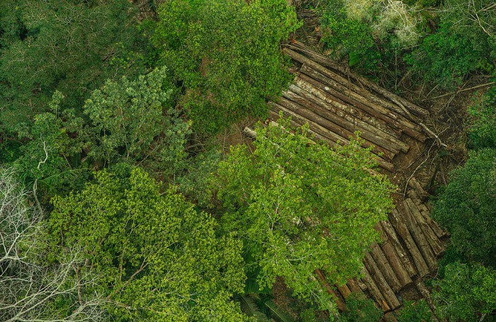 Coloque voce tambem os olhos na Amazonia