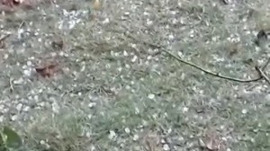 Temporal de granizo atinge area rural de Nova Uniao