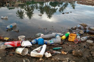 Fungos podem ajudar no combate poluicao por plasticos