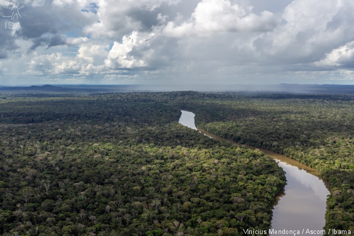 Povos indigenas isolados sao ameacados por 123 obras na Amazonia
