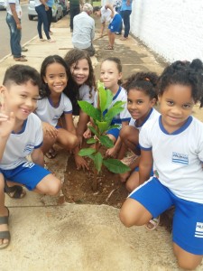 Escolas recebem arborizacao em acao do Projeto Pe de Sombra