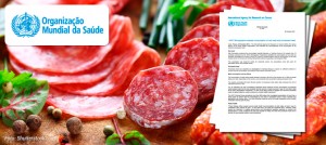 Estudo carne processada risco cancer