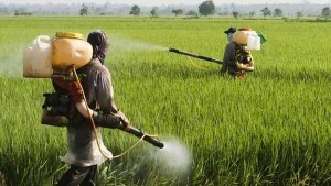 Brasil liberou mais agrotoxicos