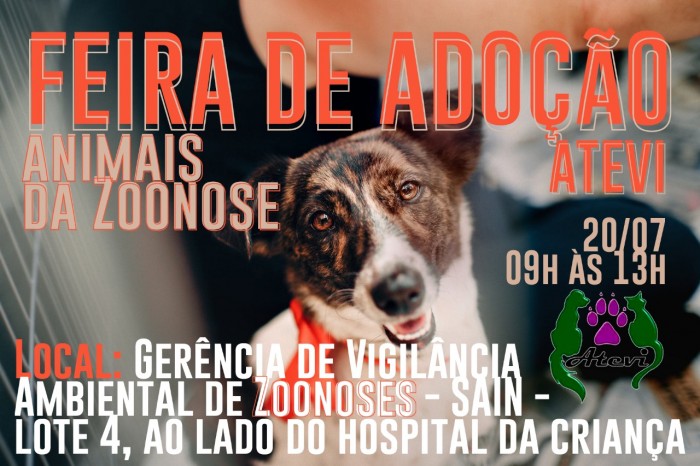 Feira de adocao zoonoses