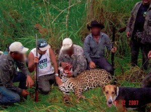 MPF denuncia grupo de cacadores que atuava no interior do Acre