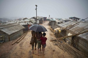 Crise climatica deve alterar