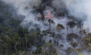 Fumaca de queimadas na Amazonia