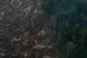 Forest Fires in the Amazon - Third Overflight (2019) Queimadas na Amazônia - Terceiro Sobrevoo (2019)