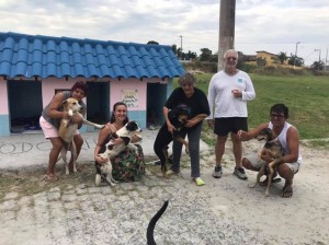 Vizinhos se unem e criam caodominio para abrigar animais de rua