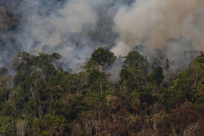 Amazonia, Cerrado e Pantanal somam 123.326 focos de queimadas em 2019
