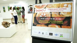 Babacu A Forca da Mulher Tocantinense