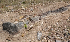 Monumento Natural das Arvores Fossilizadas comemora aniversario