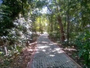 Palmas esta no evento do Cities Forests