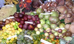 Produtoras extrativistas buscam selo artesanal de agroindustria para comercializar seus produtos