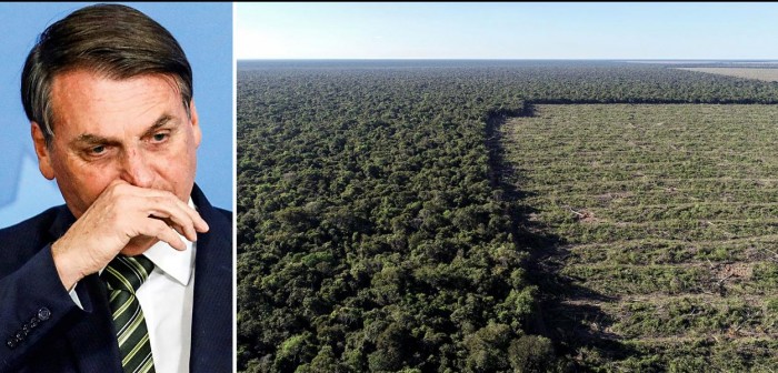 Desmatamento na Amazonia aumentou em setembro