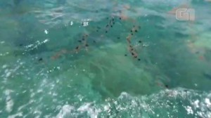 Visitacao ao Parque Nacional Marinho dos Abrolhos segue fechada
