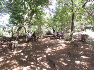 Parque das Copaibas aberto com inauguracao de trilha