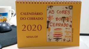 Calendario tem ilustracoes de alunos