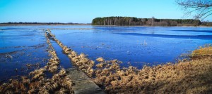 Recursos hidricos essenciais para a solucao da mudanca climatica