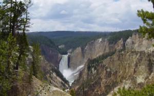 A pandemia nossa de cada dia