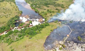 Naturatins realiza manejo do fogo