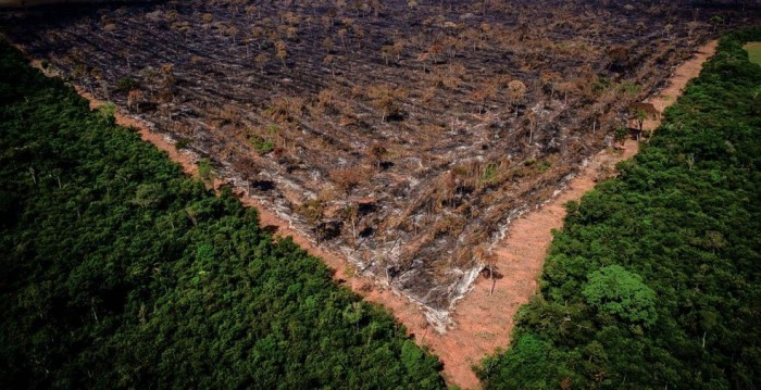 Amazonia Legal perde