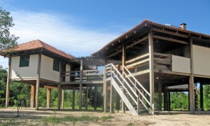 Governo do Tocantins e UFT analisam