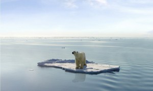 O aquecimento global extincao ursos polares