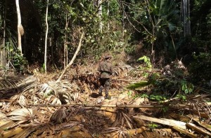 Operacao contra grilagem de terra