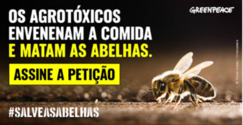 Salve as abelhas 6